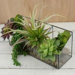 Richland Shop By Event Glass Observation Box Terrarium 12in