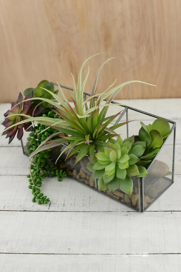 Richland Shop By Event Glass Observation Box Terrarium 12in 1 Richland Shop By Event Glass Observation Box Terrarium 12in