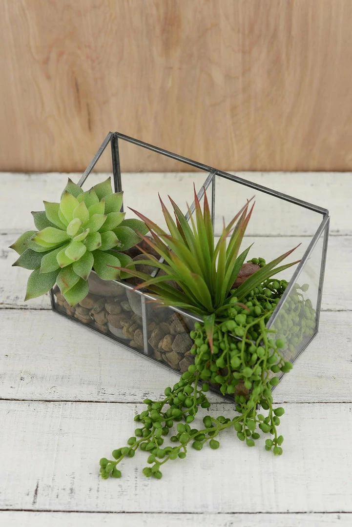 Richland Glass Observation Box Terrarium 8in Shop By Event 1 Richland Glass Observation Box Terrarium 8in Shop By Event