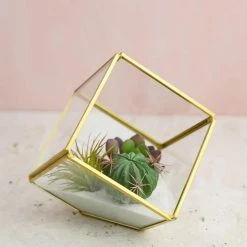 Richland Shop By Event Glass Terrarium Cube Brass 3.875in