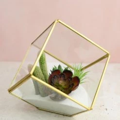Richland Glass Terrarium Cube Brass 4.7in Shop By Event