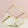 Richland Glass Terrarium Cube Brass 4.7in Shop By Event