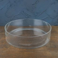 Richland Clear Glass Terrarium Dish 3in X 12in