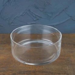Richland Clear Glass Round Terrarium Dish 8"
