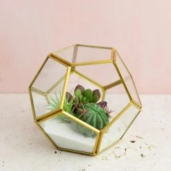 Richland Hira Glass Terrarium Display Box 5.5"x 5.5" Shop By Event