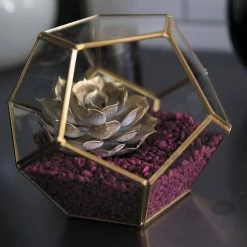 Richland Hira Glass Terrarium Display Box 5.5"x 5.5" Shop By Event