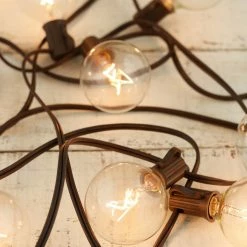 Save-On-Crafts Shop By Event Globe String Lights Brown Wire 9ft - 10ct- 12in Spacing