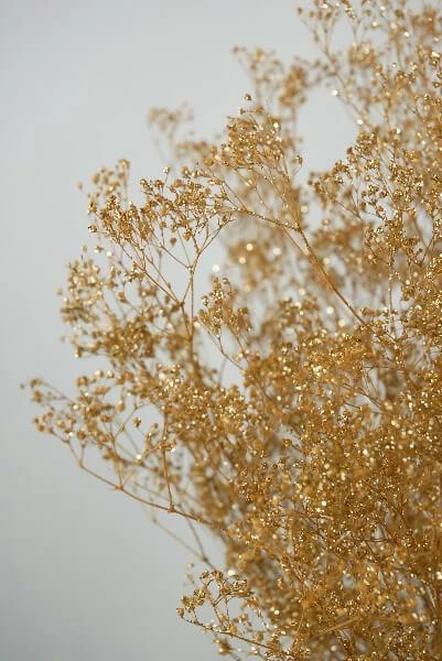 Richland Fall Gold Baby's Breath Branches 4oz Bunch 26in 1 Richland Fall Gold Baby's Breath Branches 4oz Bunch 26in