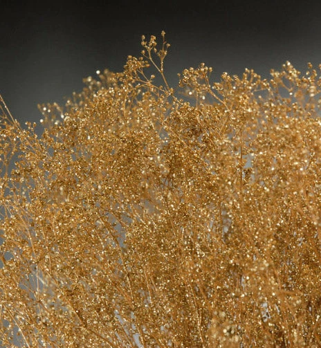 Richland Fall Gold Baby's Breath Branches 4oz Bunch 26in 2 Richland Fall Gold Baby's Breath Branches 4oz Bunch 26in