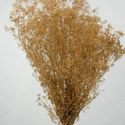Richland Fall Gold Baby's Breath Branches 4oz Bunch 26in 5 Richland Fall Gold Baby's Breath Branches 4oz Bunch 26in