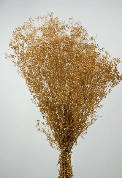 Richland Fall Gold Baby's Breath Branches 4oz Bunch 26in 3 Richland Fall Gold Baby's Breath Branches 4oz Bunch 26in