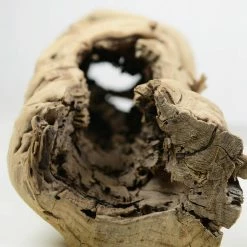 Richland Hollow Grapewood Branch Natural 12in-14in Naturals & Florals