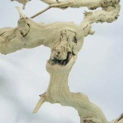 Richland Natural Grapewood Branch 10" Sandblasted Botanicals