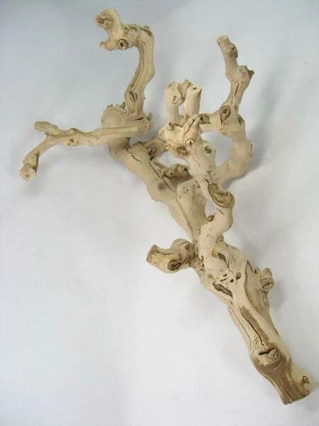 Richland Botanicals Grapewood Branch 12in Sandblasted 1 Richland Botanicals Grapewood Branch 12in Sandblasted