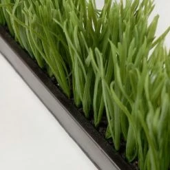Richland Narrow & Long Faux Grass Display In Metal Tray 25.5" Long X 2.75" Wide