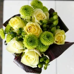 Richland 6 Green Pompom Mums