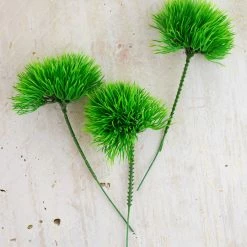 Richland 36 Green Trick Dianthus Picks 6 Inch Christmas
