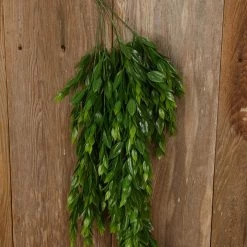 Richland Flaming Grass Hanging Bush 25in