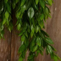 Richland Flaming Grass Hanging Bush 25in