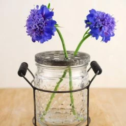 Richland Hobnail Glass Jar With Frog Lid 5in