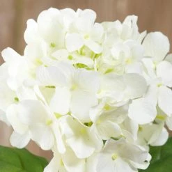 Richland Silk Cream White Hydrangea Flowers 5in Bloom