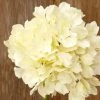 Richland Ivory White Silk Hydrangea Flowers