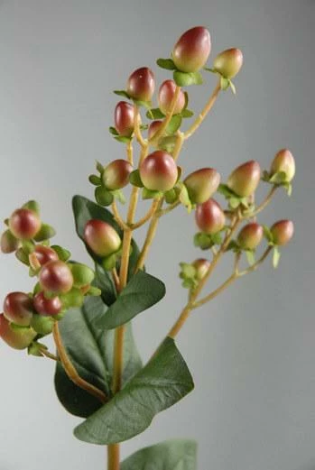 Richland Artificial Hypericum Burgundy & Green 24in Seasonal Parties 1 Richland Artificial Hypericum Burgundy & Green 24in Seasonal Parties