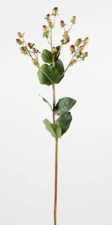 Richland Artificial Hypericum Burgundy & Green 24in Seasonal Parties 2 Richland Artificial Hypericum Burgundy & Green 24in Seasonal Parties