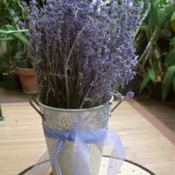 Richland Naturals & Florals Lavender Flowers Air Dried Premium Blue Fragrant (90+ Stems)