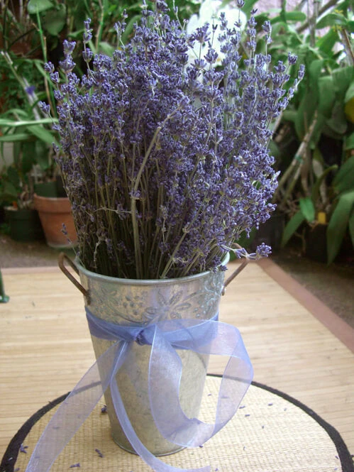 Richland Naturals & Florals Lavender Flowers Air Dried Premium Blue Fragrant (90+ Stems) 2 Richland Naturals & Florals Lavender Flowers Air Dried Premium Blue Fragrant (90+ Stems)
