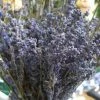 Richland Naturals & Florals Lavender Flowers Air Dried Premium Blue Fragrant (90+ Stems)