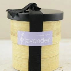 Richland Naturals & Florals Lavender Grow Kit In Bamboo Pot