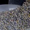 Richland Aisle Décor Ultra Grade Lavender 1lb Highest Quality Color And Fragrance