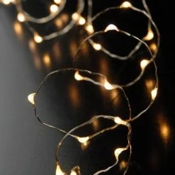 Richland LED Battery Op. Submersible Fairy String Lights Warm White 5ft - 30ct Shop By Event