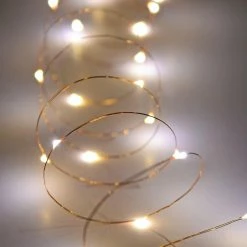 Richland Copper Wire Fairy Lights 10 FT Outdoor Battery Operated Warm White