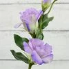 Richland Lilac Lisianthus Flowers