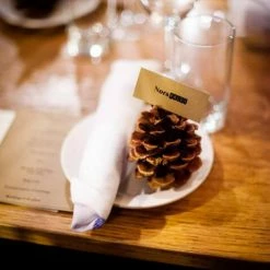 Richland Seasonal Parties Ponderosa Pine Cones 12 Cones