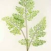 Richland Fern Branch 34in Forest Maidenhair 12 Pack Christmas