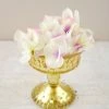 Richland Mercury Glass Compote Gold 4.5in