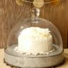 Richland Metal Cake Stand With Glass Cloche 10.5x8in