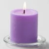 Richland Pillar Candles 3"x3" Lavender Set Of 24 Shop By Event