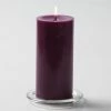 Richland Pillar Candle 3"x6" Purple Shop By Event