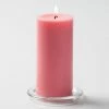 Shop By Event Richland Pillar Candles 3"x6" Pink Set Of 12