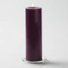 Richland Pillar Candle 3"x9" Purple Shop By Event