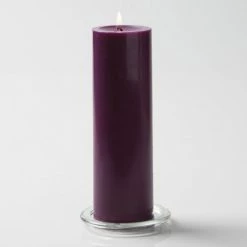 Shop By Event Richland Pillar Candles 3"x9" Purple Set Of 12