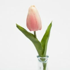 Easter Richland Purple Tulip 11"