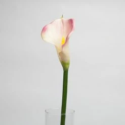 Richland Purple Calla Lily 30" Set Of 12