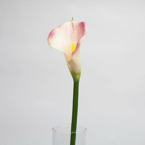 Richland Purple Calla Lily 30" Set Of 12 1 Richland Purple Calla Lily 30" Set Of 12