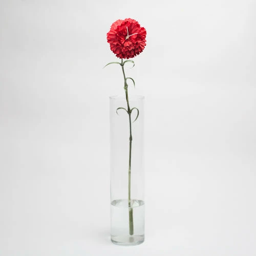 Seasonal Parties Richland Red Carnation 27" Silk Flowers Set Of 24 2 Seasonal Parties Richland Red Carnation 27" Silk Flowers Set Of 24