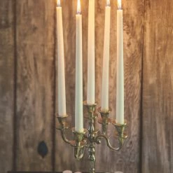 Richland Taper Candles 14" White Set Of 50